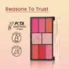 Swiss Beauty Pro Blush & Highlighter Palette safe to use