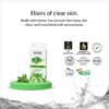 Dr. Rashel Tea Tree Nose Pore Strips – 5 Strips | Blackhead Removal | Oil Control | Deep Pore Cleanse - Image 4